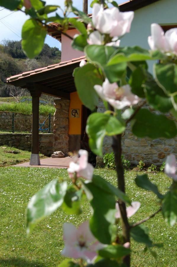 Вилла Casa Del Sella Эль-Льяно Экстерьер фото